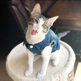 Denim Cat Clothes