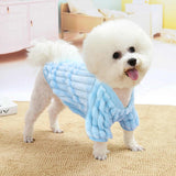 Cute and Warm Small Dog Clothes