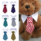 Formal Necktie Collar